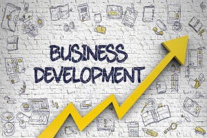 Business Development Executive (B2B – Công nghệ)